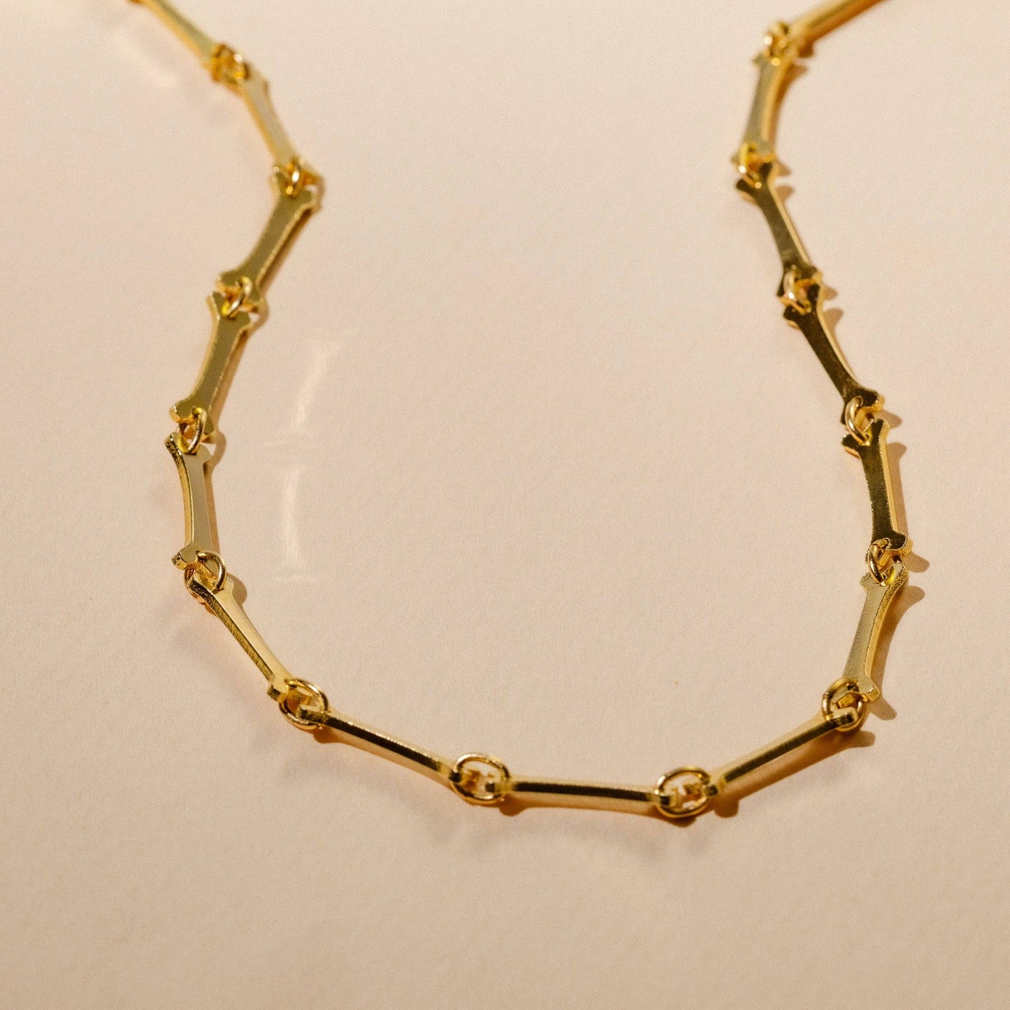 Lydia 14k Gold Plated Bone Chain Necklace