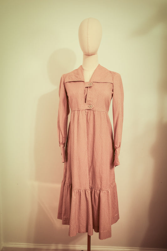 Albert Nipon 1970s Prairie Style Dress