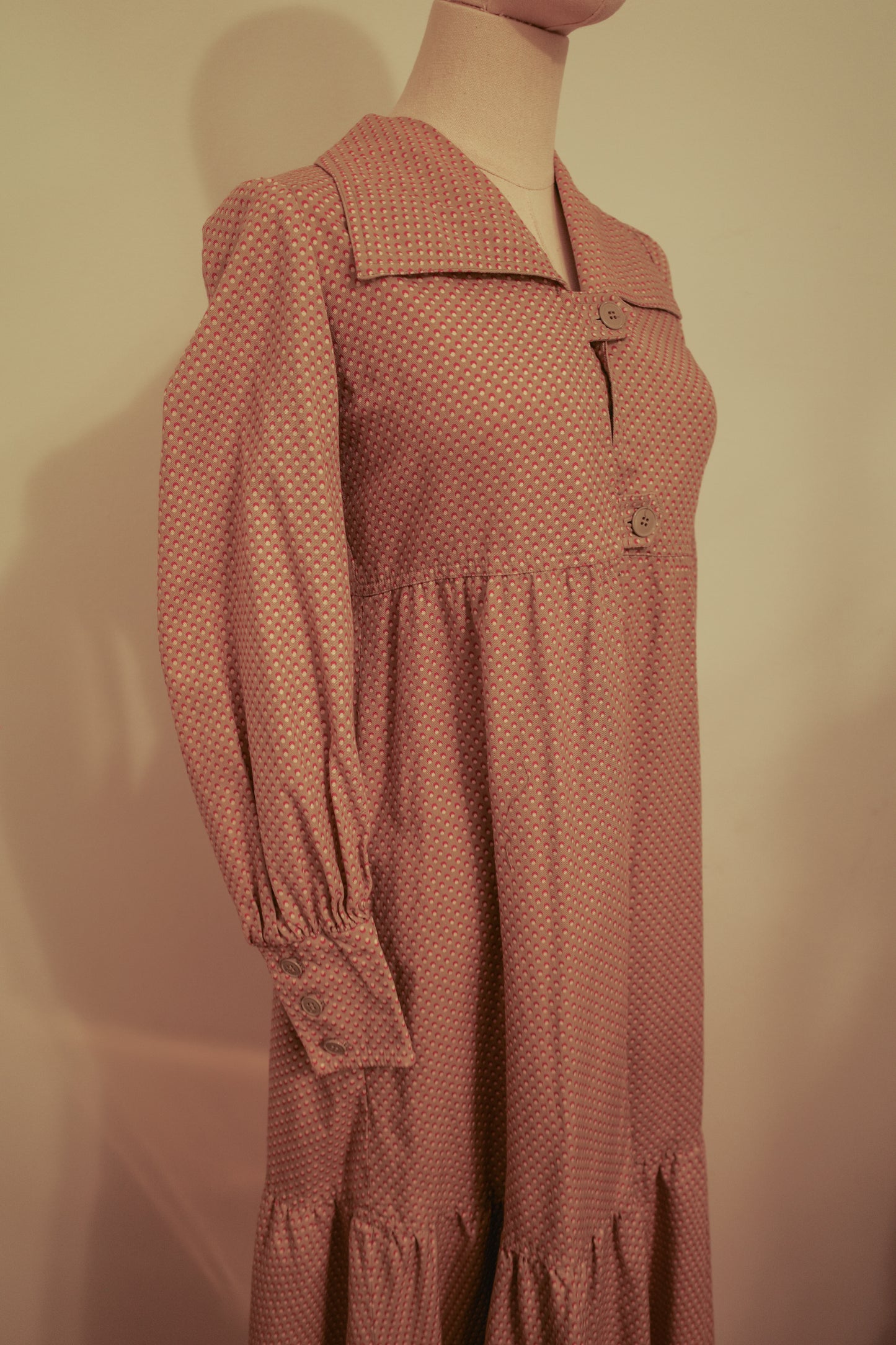 Albert Nipon 1970s Prairie Style Dress