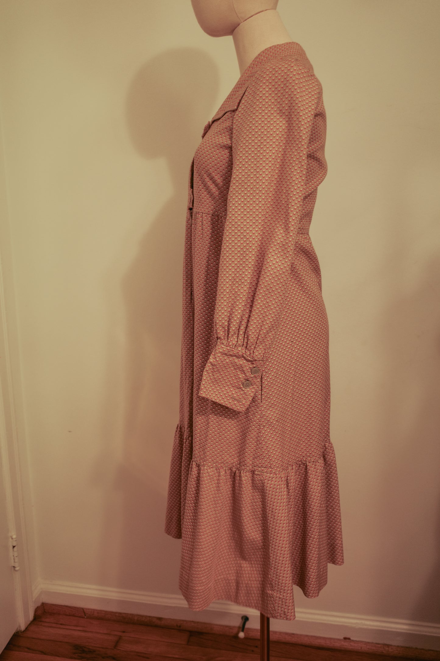 Albert Nipon 1970s Prairie Style Dress