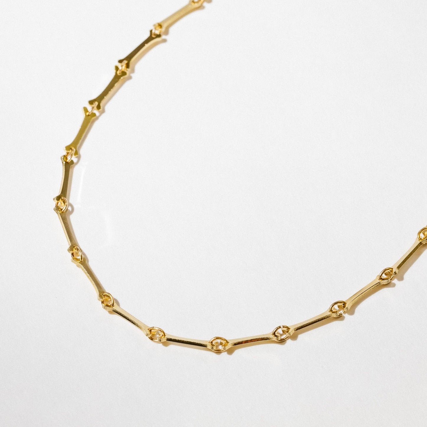 Lydia 14k Gold Plated Bone Chain Necklace